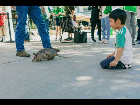 A Sunday afternoon well spent at Family Fest. 💚🖤