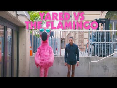 Carl the Flamingo at PENN RELAYS