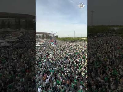 ¡AMBIENTAZO de noche europea en La Cartuja! 💚🔥 #shorts #realbetis