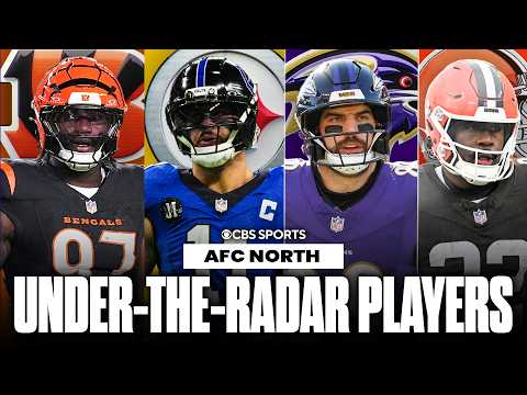 Under-the-radar players for EVERY AFC North team before the 2026 season ✅