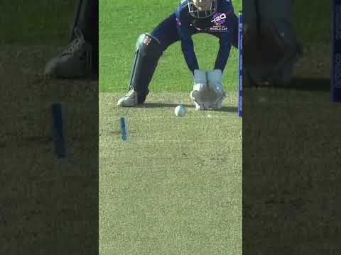 Stafanie Taylor building the West Indies' total with a sublime boundary 👌