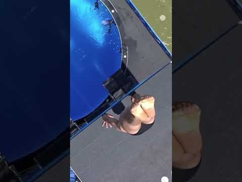 Italian High Diver Alessandro De Rose's Spectacular Dive #highdiver #dive #AlessandroDeRose #diver