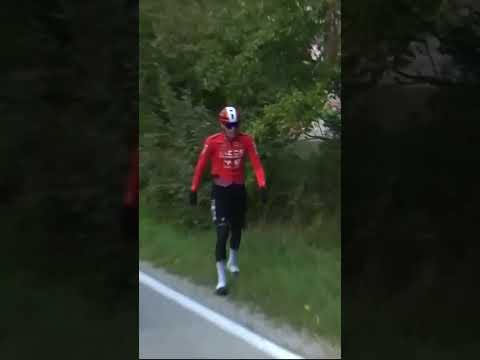 When the Lorax attacks 🌲 Fortunately, Artem Shmidt was quickly back up after his stick-y situation.