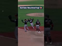 Everything went EXACTLY according to plan! 🤭