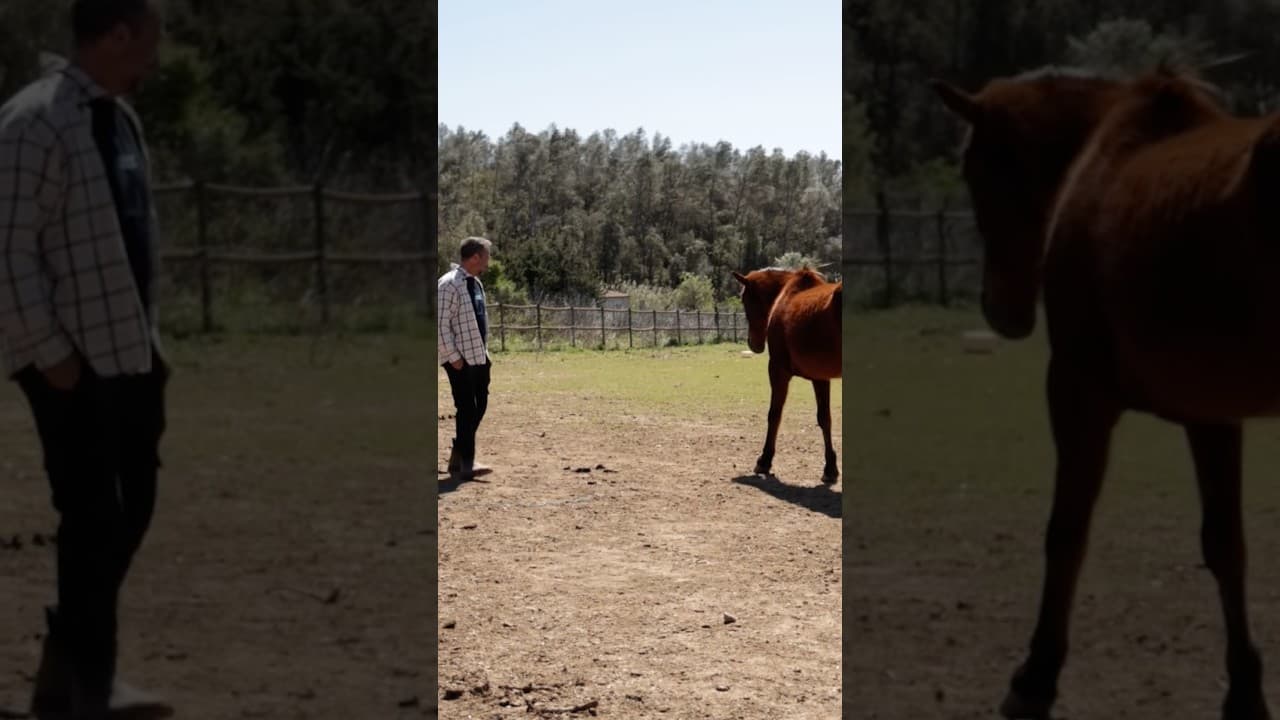 Àlex Fernádez, el futbolista atípic, protagonista del tercer capítol de ‘Quan la pilota calla’ #RCDE