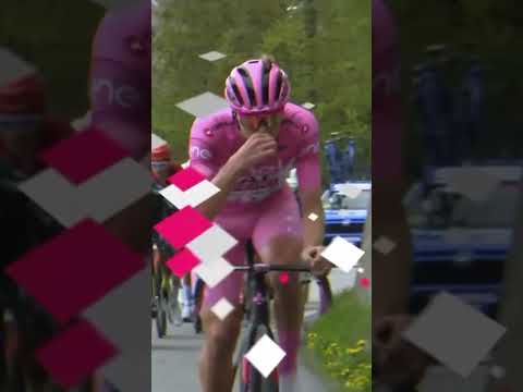 “Okay, time to destroy the race” 🎙️ When Tadej Pogacar called the shots over team radio in 2024 🔥