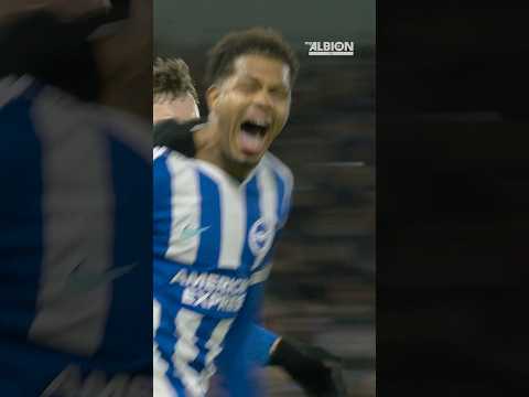 Georginio Finds The Equaliser! 🤩💫 #brightonandhovealbion #premierleague #georginio