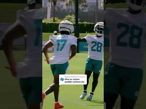 Mike McDaniel was HYPED 🤣 (via @miamidolphins/TT)