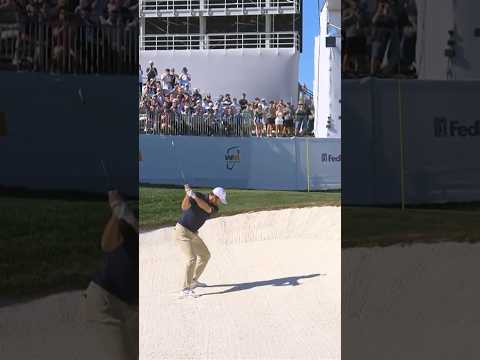 Scottie's Saturday surge continues⬆️