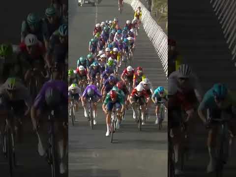 Jonathan Milan is on another level 🤯💪 A great lead out from his Lidl-Trek team-mates in AlUla.