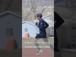 Border Collie Puppy Runners