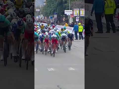 PHOTO FINISH 📸 Dušan Rajović gets his wheel ahead of Donati to win Stage 3 of the Giro di Sardegna 👏