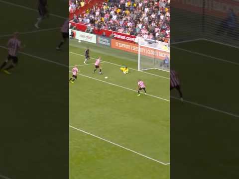 GABRIEL JESUS DENIED BY… DAVID RAYA!