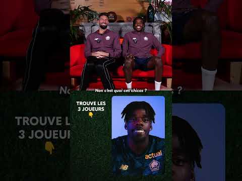 Des profils plus que douteux mais bien trouvés par nos 2 dogues 𝐆𝐢𝐫𝐨𝐮𝐝 et 𝐍𝐠𝐨𝐲 🤣👏