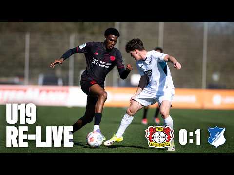 LIVE: Bayer 04 Leverkusen U19 🆚 TSG Hoffenheim U19 | DFB-Nachwuchsliga, 4. Spieltag