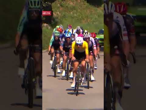 Domestique duty for Tadej Pogačar? 👀