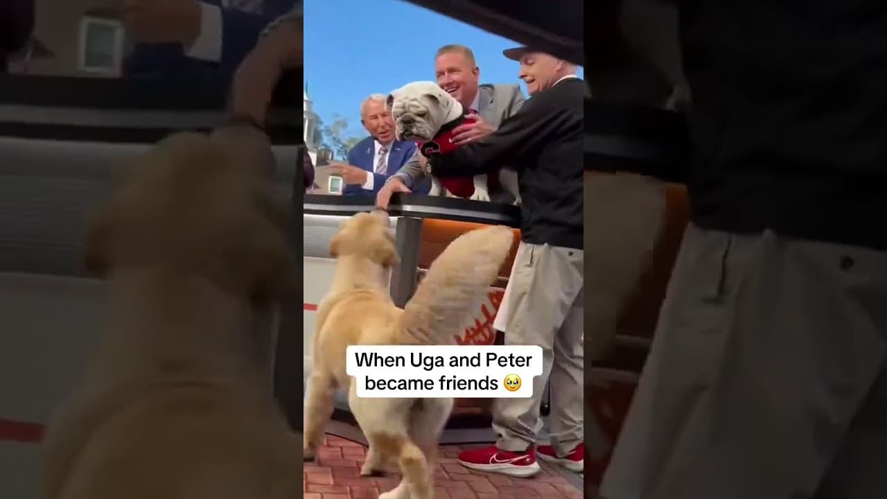 Too cute ❤️