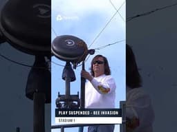 When Indian Wells Was Struck By A Bee Invasion 🐝