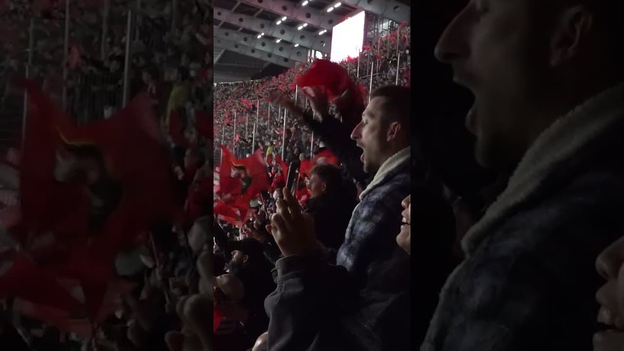 👀 45 secondes d'ondes positives 🫶 #shorts #srfc #sportstiktok #fans #staderennais