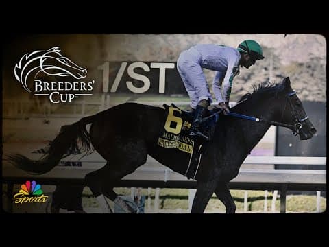 Betting the 2025 Breeders' Cup: Dirt Mile | NBC Sports
