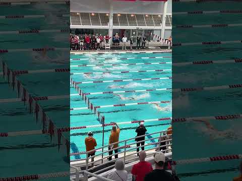 Gui Caribe 18.93 50 Free