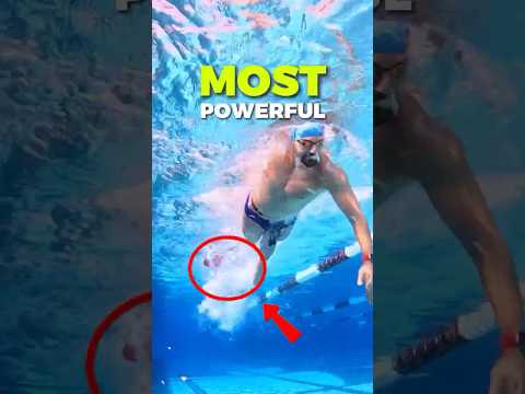 Weightlifting, but make it underwater. 🏋️‍♂️