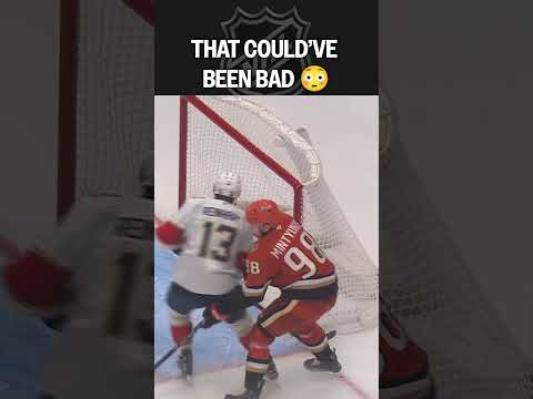 Duck, Duck OOPS 😬🦆