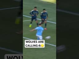 Hannes Wolf FINISHING STRIKE‼️