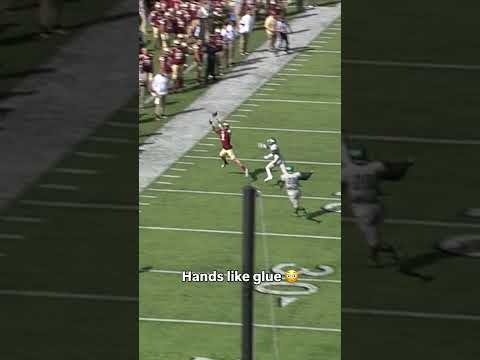 And he got his foot inbounds 🔥 #bostoncollege #accfootball #collegefootball
