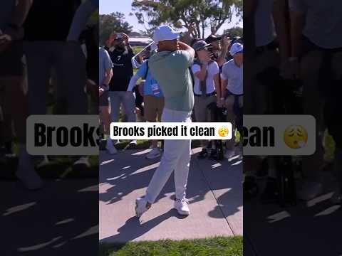 Brooks from the cart path 😲