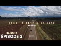 Dans la tête d'un lion - Saison 1 - Épisode 3