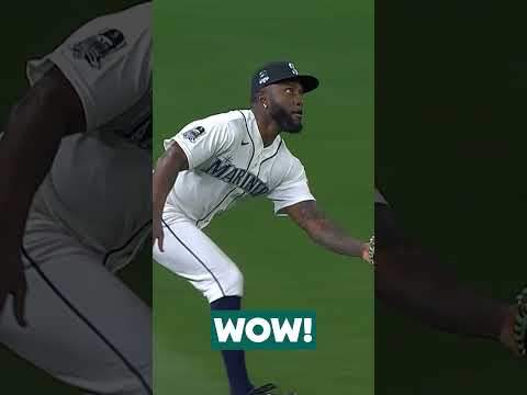 RANDY! WHAT A CATCH! #baseball  #mlb #sports #highlights