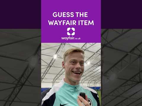 Wayfair's Guess the Item | Shed