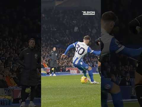 The Gross [Re]TURN  🥳