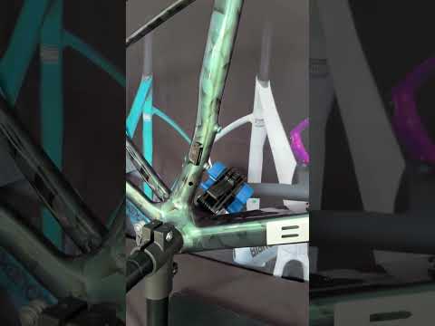 Rate This Paint By Bianchi - Better Than Celeste?