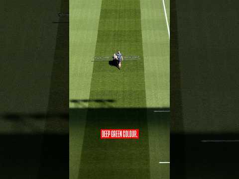 How do they get the grass THIS green? 😍