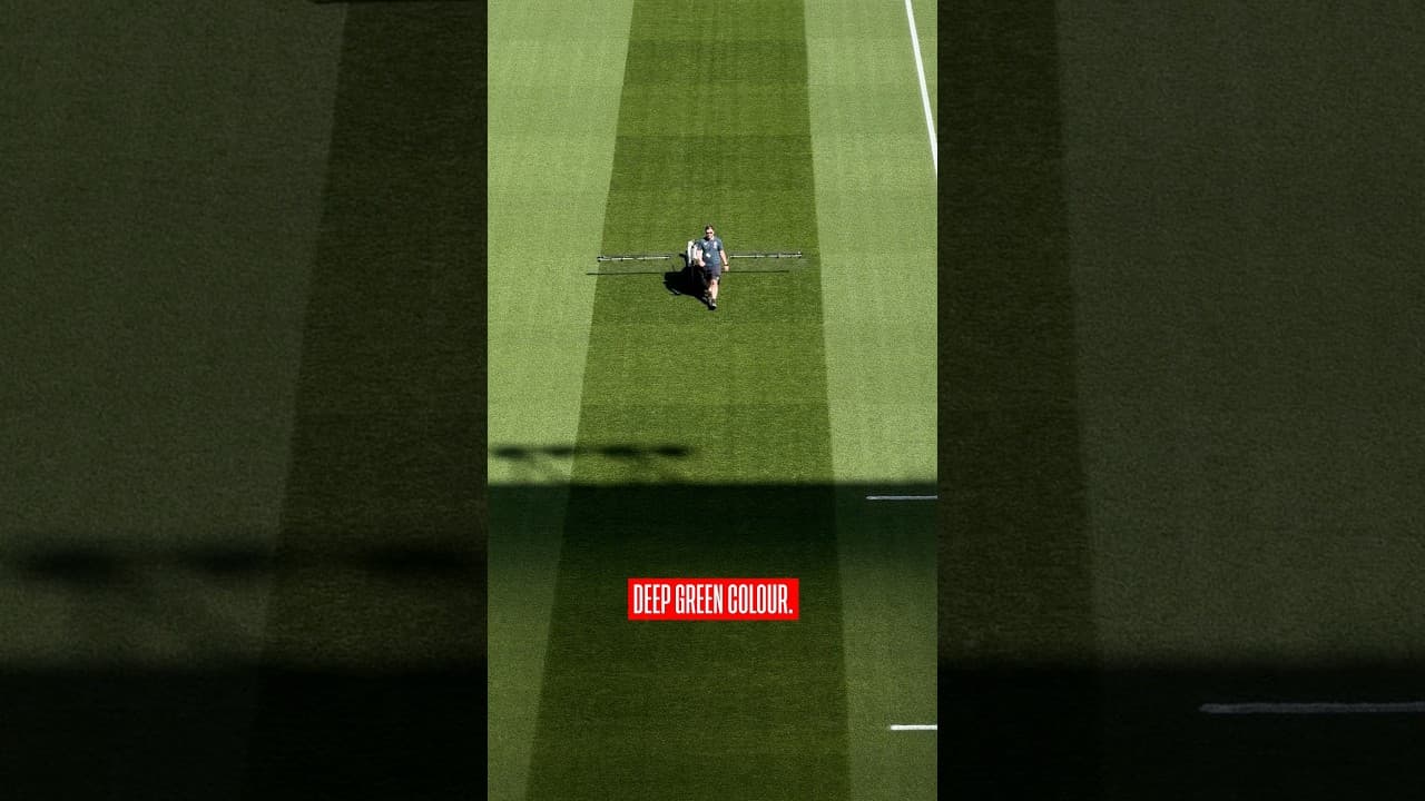 How do they get the grass THIS green? 😍