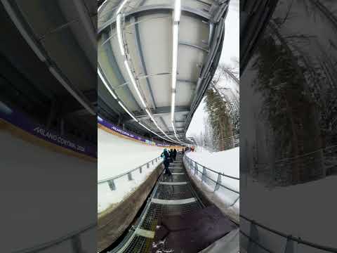 What is the skeleton like at the Winter Olympics? 🤔