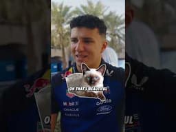He knows his cats 😻 #F1 #RedBullRacing