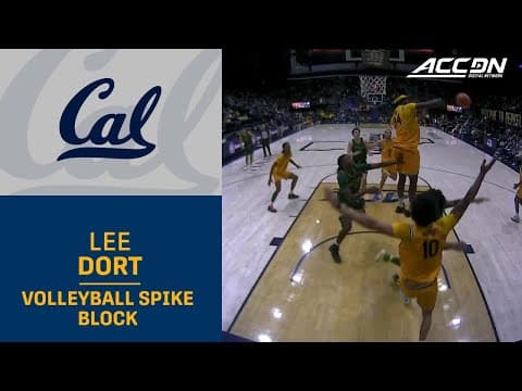 Cal's Lee Dort Blocks A Shot With A Volleyball Spike