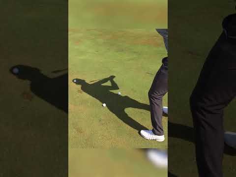 Have You EVER Seen This Before?