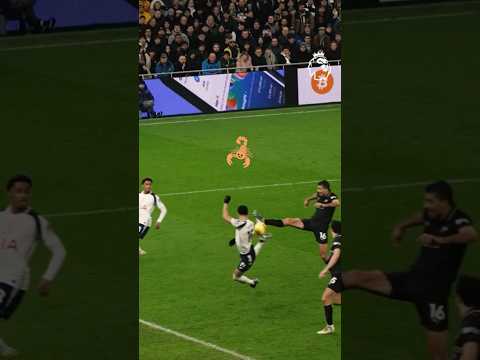 Solanke Scorpion King 🦂