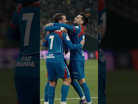 New on board the Going Merry 🚢