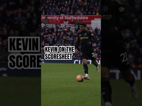 Kevin’s Equaliser. 🇧🇷