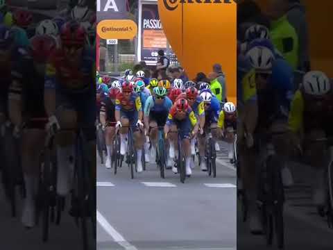 Textbook stuff from Lidl-Trek 🙌 Jonathan Milan delivered many a time in his trademark style 😎