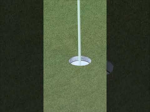 WHAT A PUTT BY THOMAS DETRY! 😮⛳😮