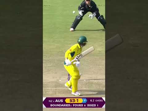 Look at New Zealand's @ThumsUpofficial All Thunder performance today ⚡