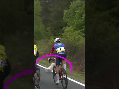 Too close for comfort 😮‍💨