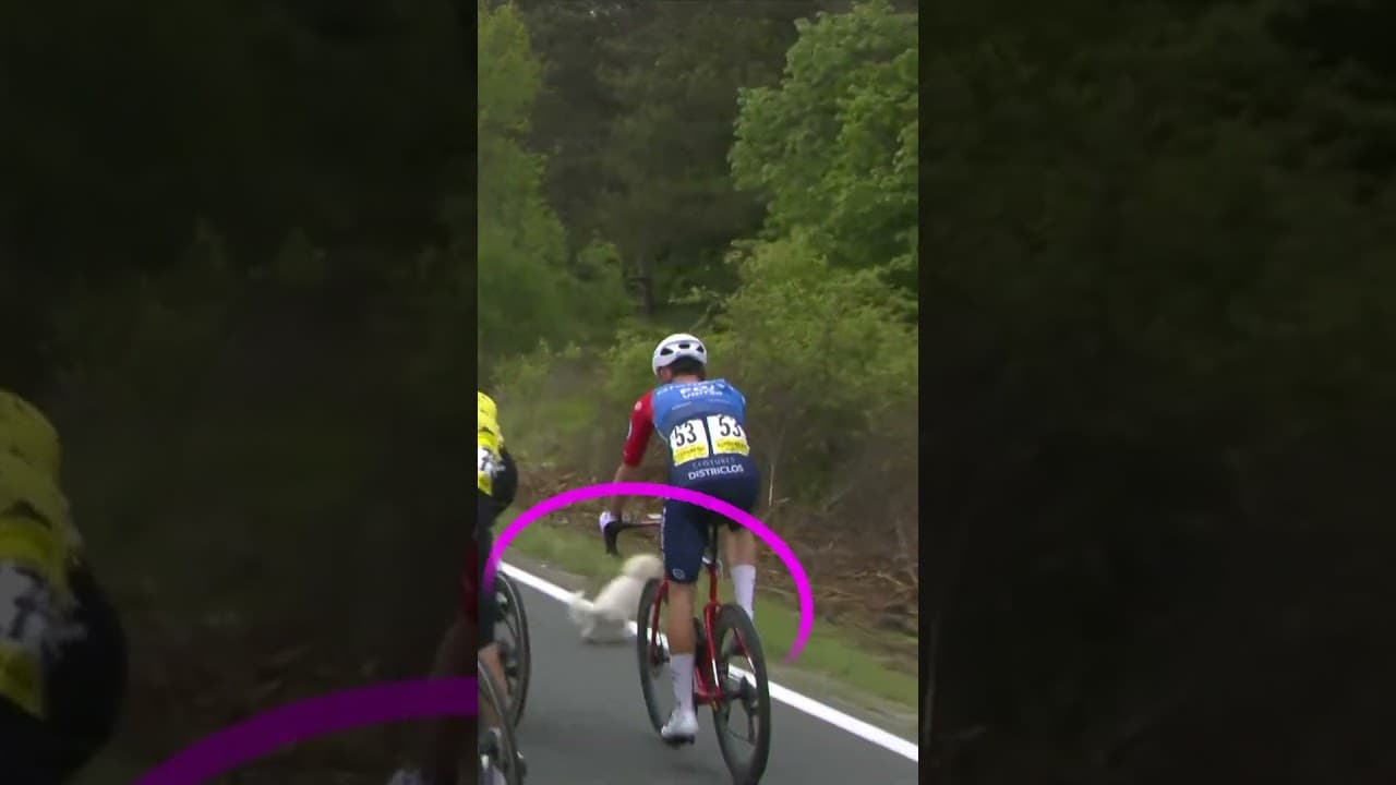 Too close for comfort 😮‍💨