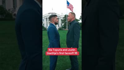 Right on the lawn 🍿 (via @UFC/TT)